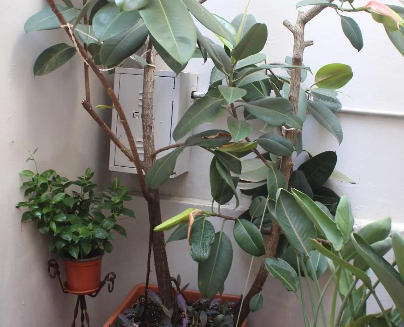 Apartament La Terrazza Sul Tempio Brindisi Włochy